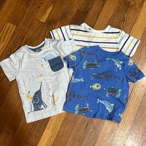 Toddler boys tee bundle